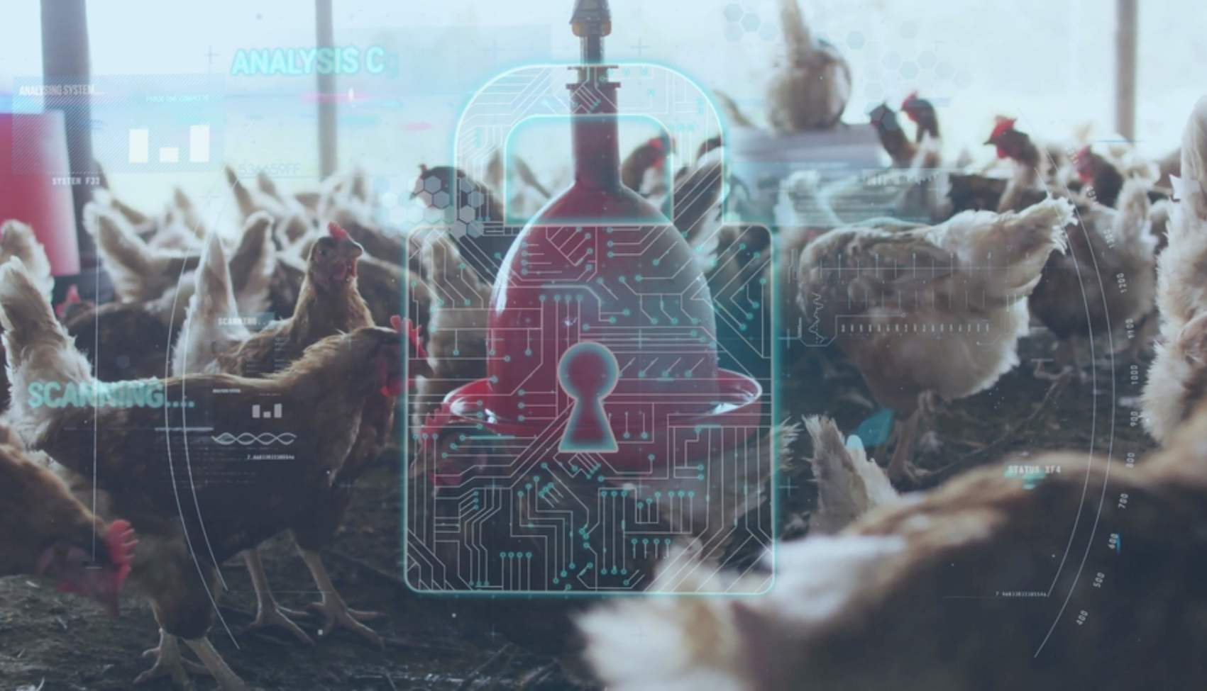 Biosecurity Management Vietnam Breeder Farms Digital Protocols