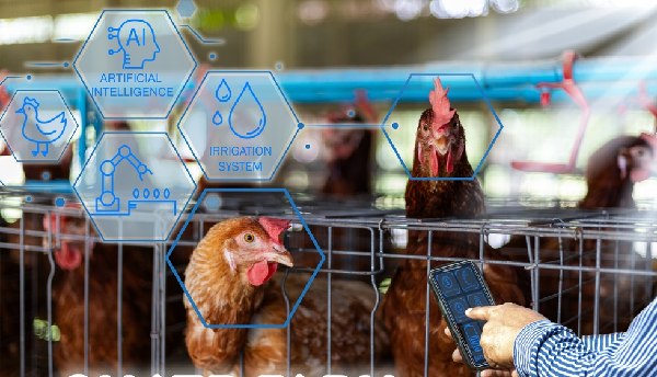 Hatchery Management Software Kuwait Buyers Guide