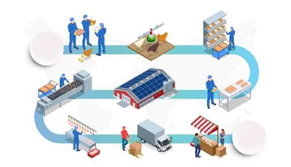 Nigeria Poultry Software Pricing