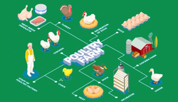 Saudi Arabia Poultry Technology Integrators